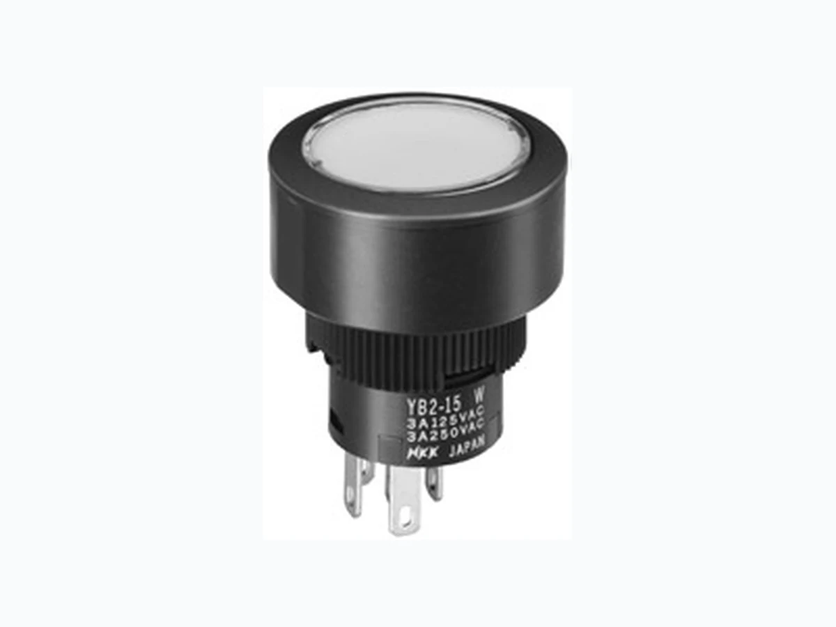 YB225CWCSG01-5D-CB integrated circuit reference