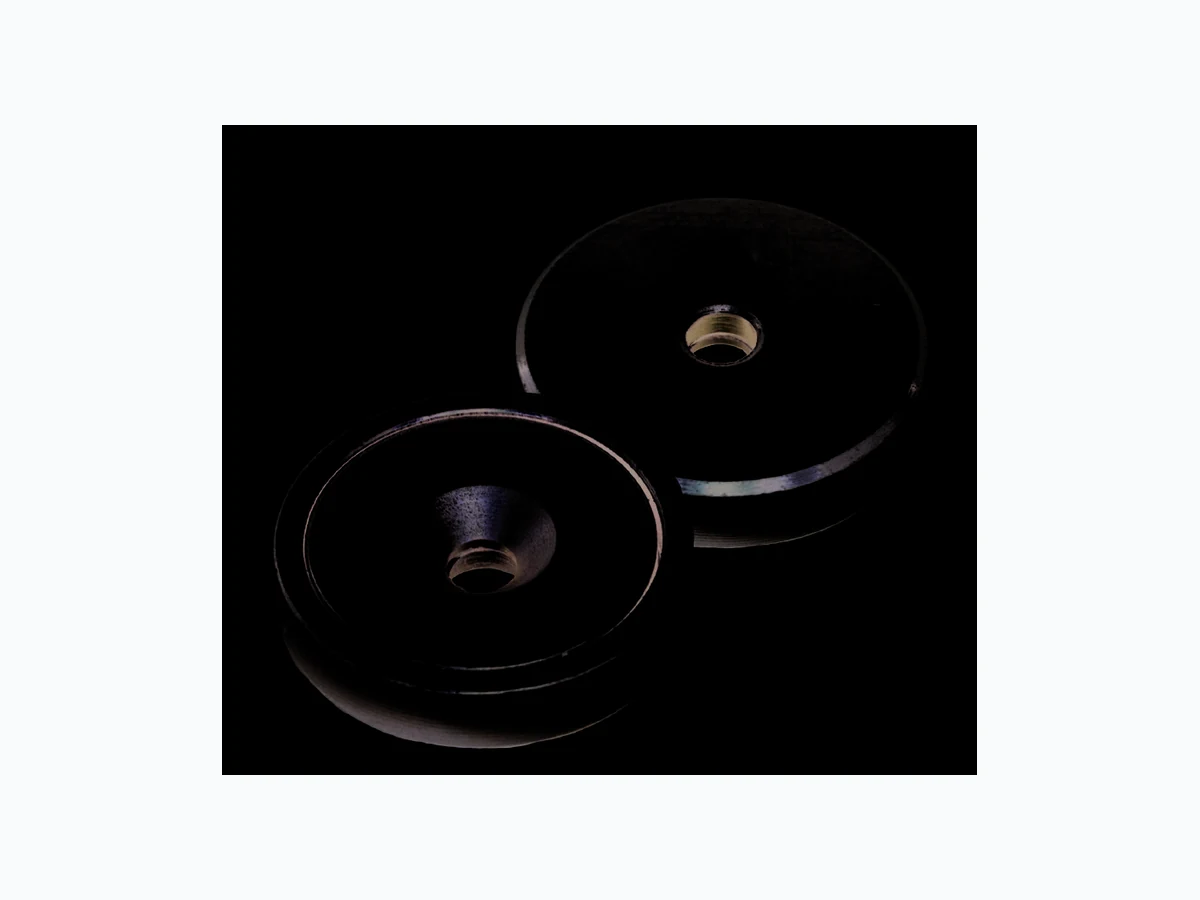 E1001NEO integrated circuit reference