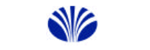 Daewoo Semiconductor logo