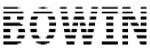 BOWIN ELECTRONIC CO. logo