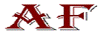 Analog Future logo