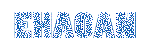EHAOAN. logo