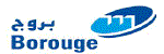 BOROUGE PTE. LTD. logo