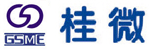 Guilin Strong Micro-Ele... logo