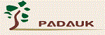 PADAUK Technology. logo