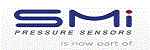 Silicon Microstructures... logo
